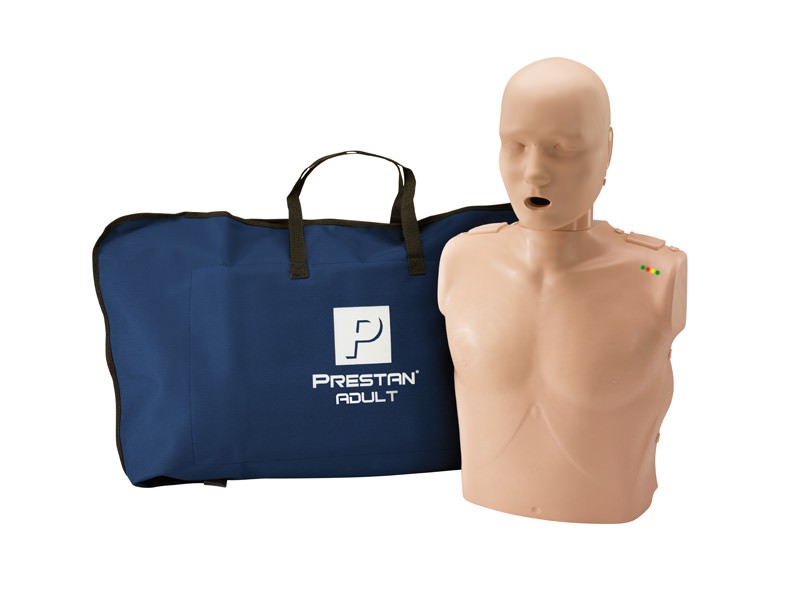 HLW-Torso mit Leuchtanzeige
