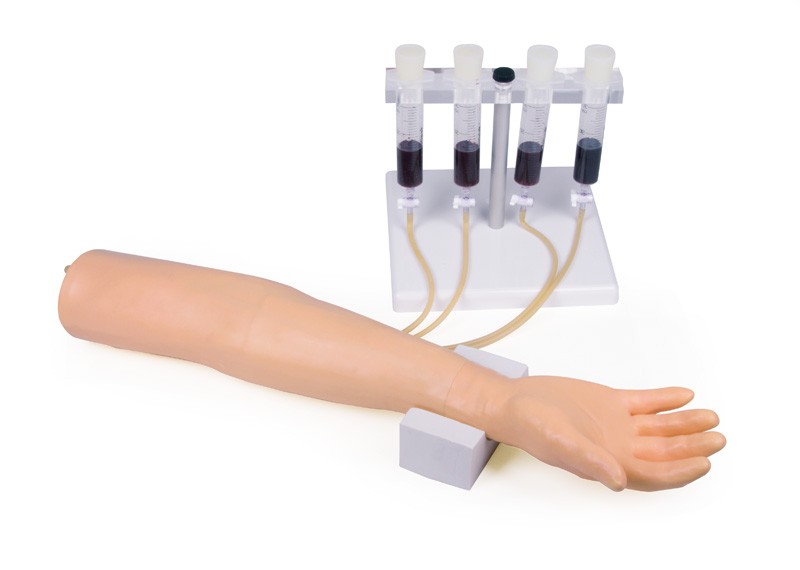 Trainingsarm für intravenöse Injektion und Infusion