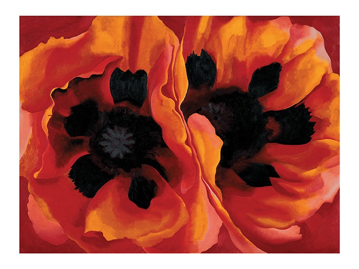 O’Keeffe, Oriental Poppies